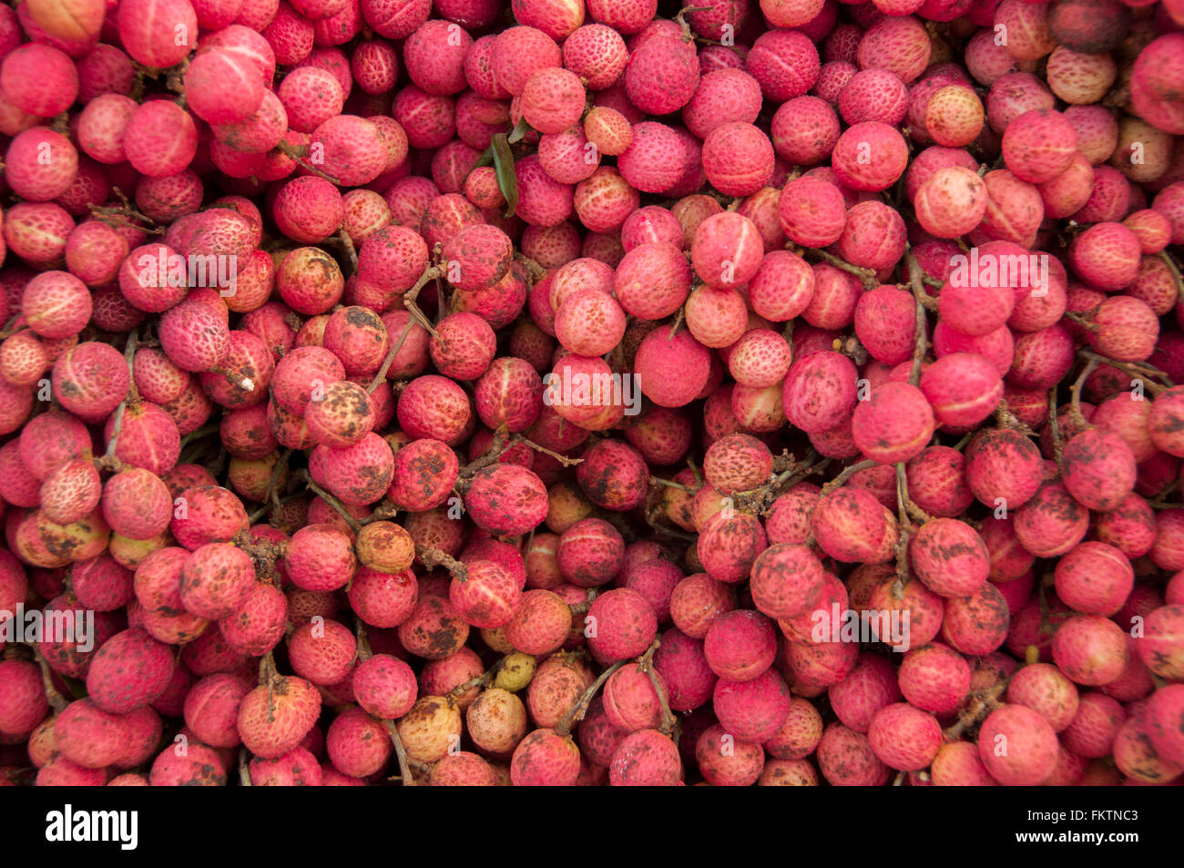 Sapindaceae, wild berry fruit. Stock Photo