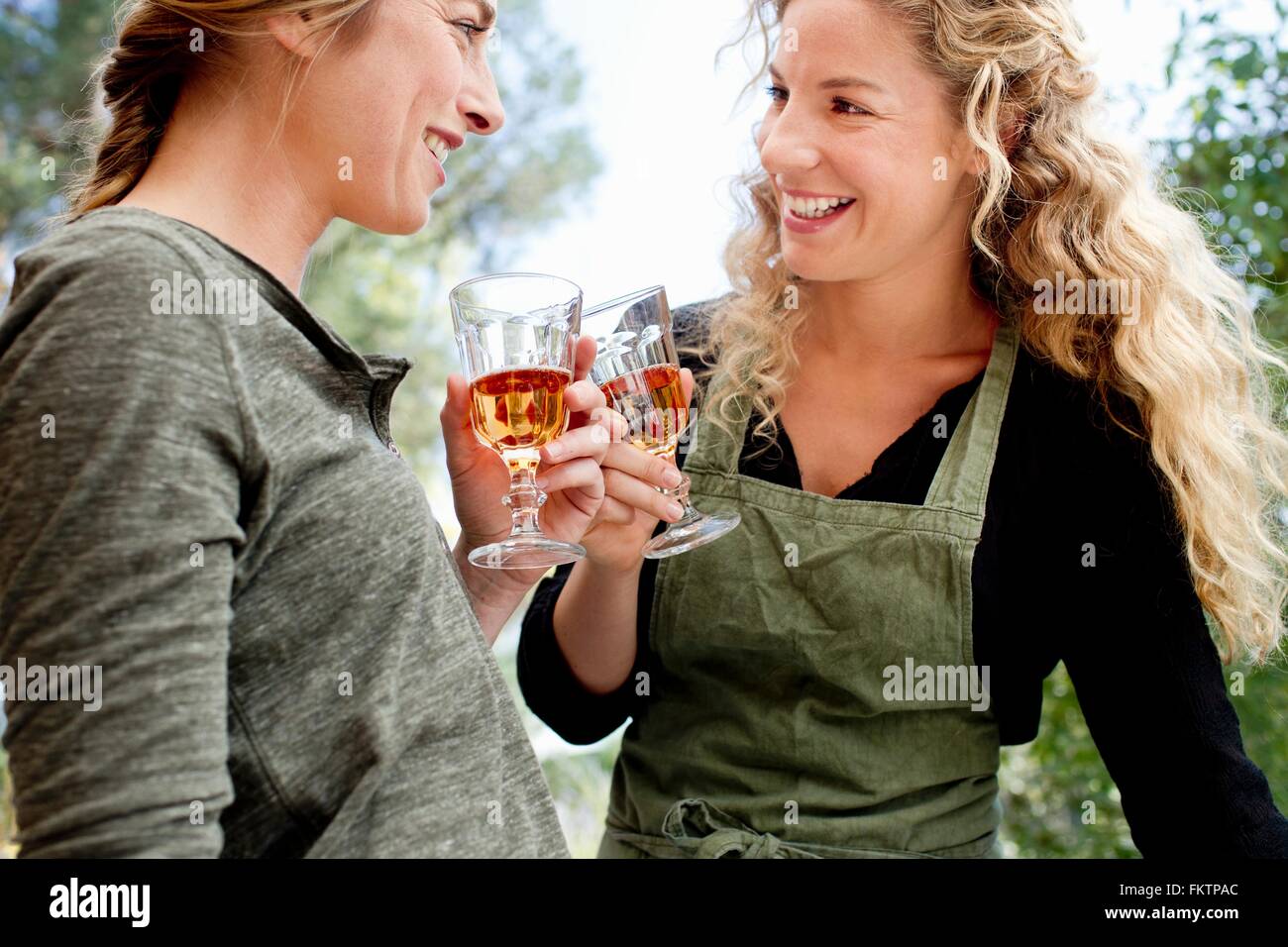 Two women toasting with wine glasses Stock Photo