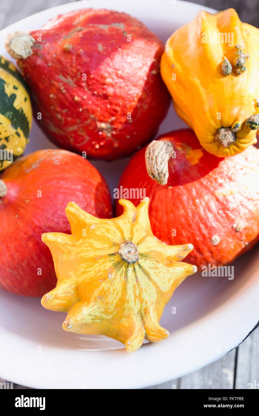Various squash vegetables in dish Stock Photo