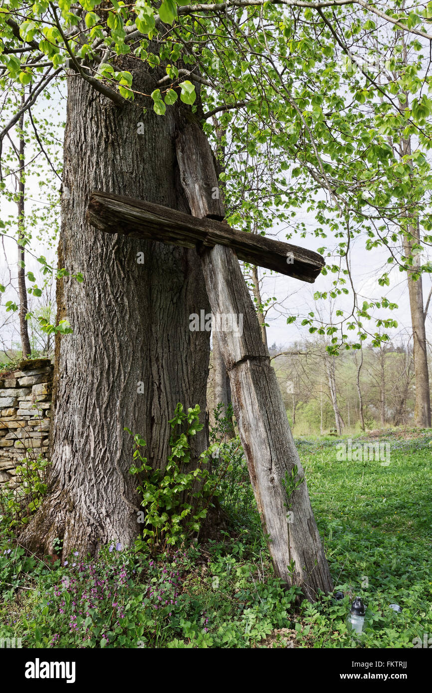 Old Catholic Christian wooden cross by  tree Stock Photo