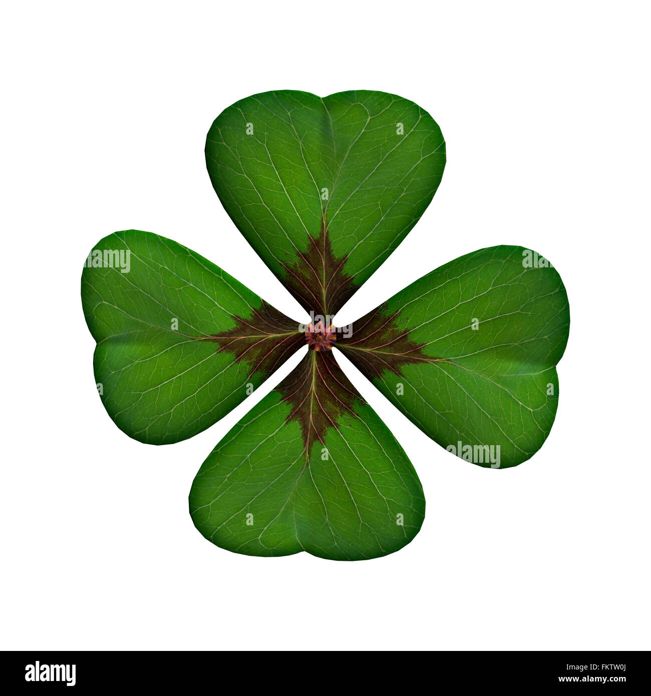 Digital render of a lucky clover leaf or shamrock isolated on white ...