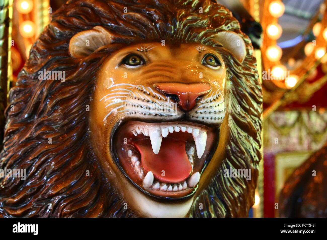 Lion roar close up hi-res stock photography and images - Alamy