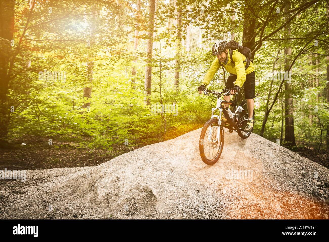 Mature male mountain biker cycling over mound in forest Stock Photo