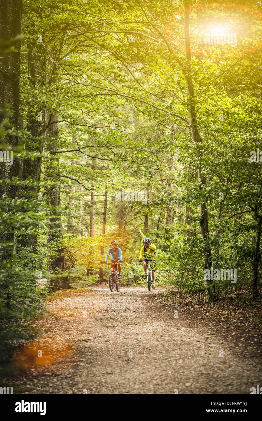 Mature mountain biking couple cycling on trail in forest Stock Photo