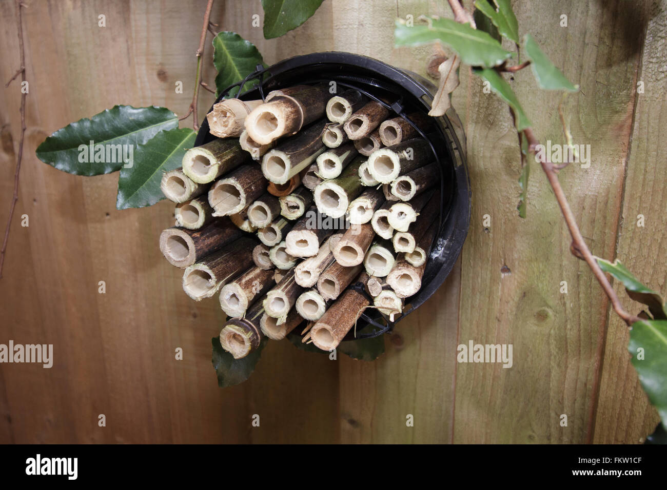 Home-made Bee Hotel mounted to a garden fence. Stock Photo