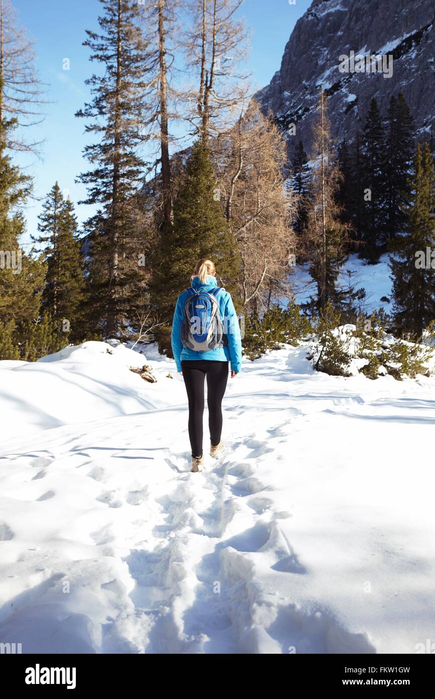 Rear view of young woman hiking through mountain snow, Austria Stock ...