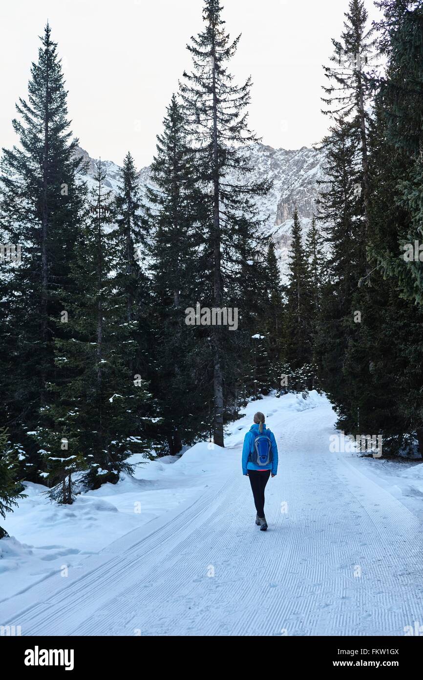 Rear view of young woman hiking along snowy rural road, Austria Stock ...