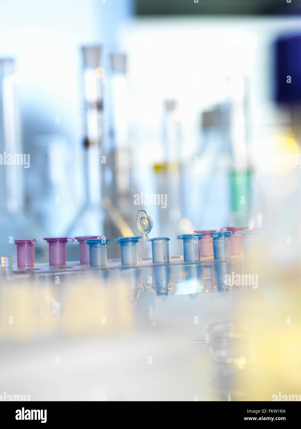 Sample in eppendorf vial during experiment in laboratory Stock Photo