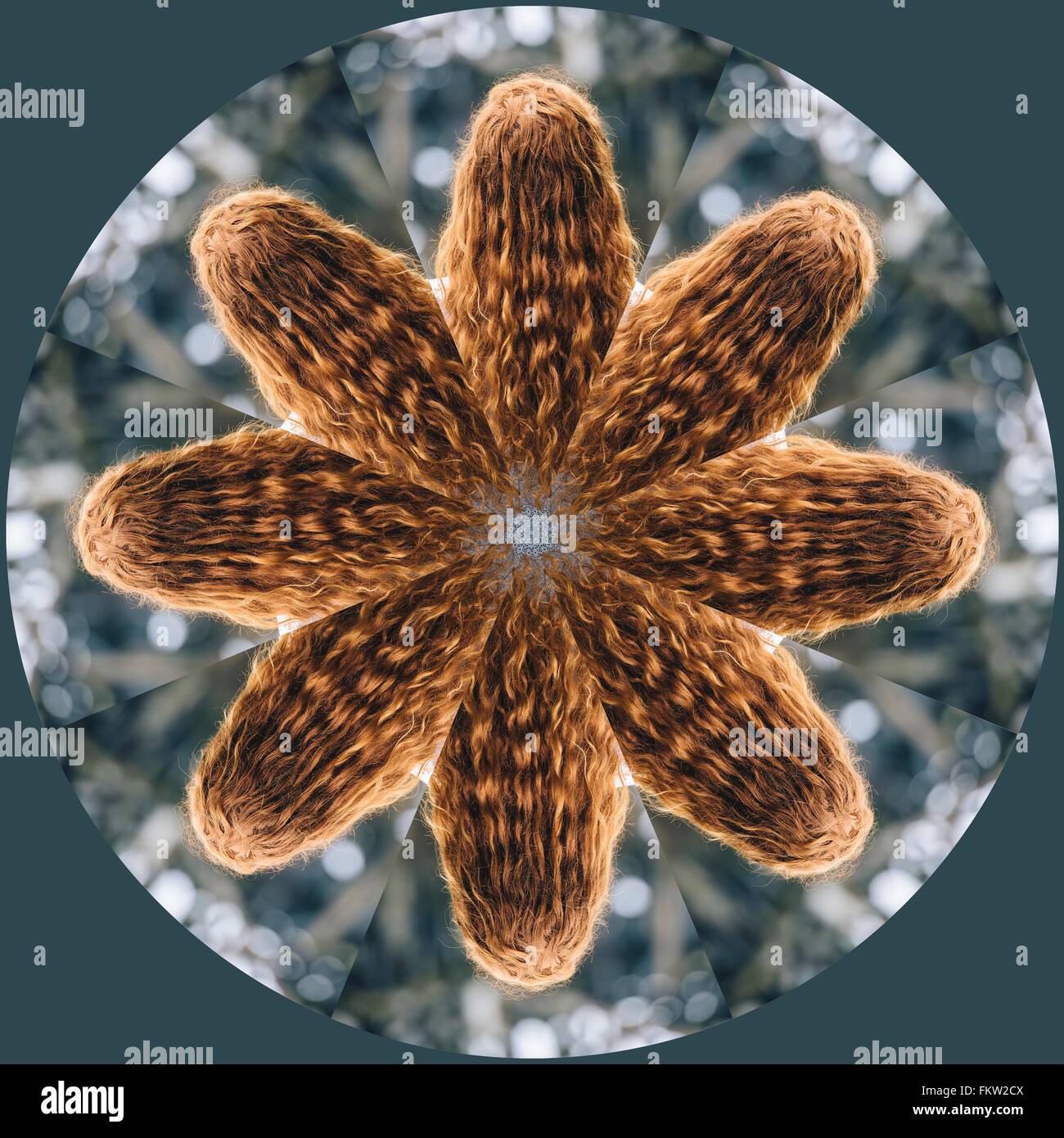 Kaleidoscope floral hi-res stock photography and images - Alamy