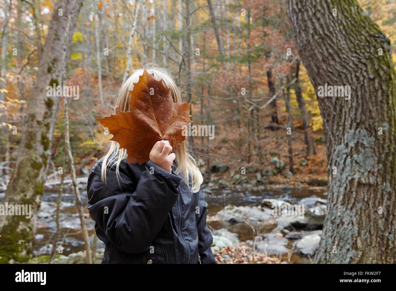 Girl covering face with maple leaf in forest Stock Photo - Alamy