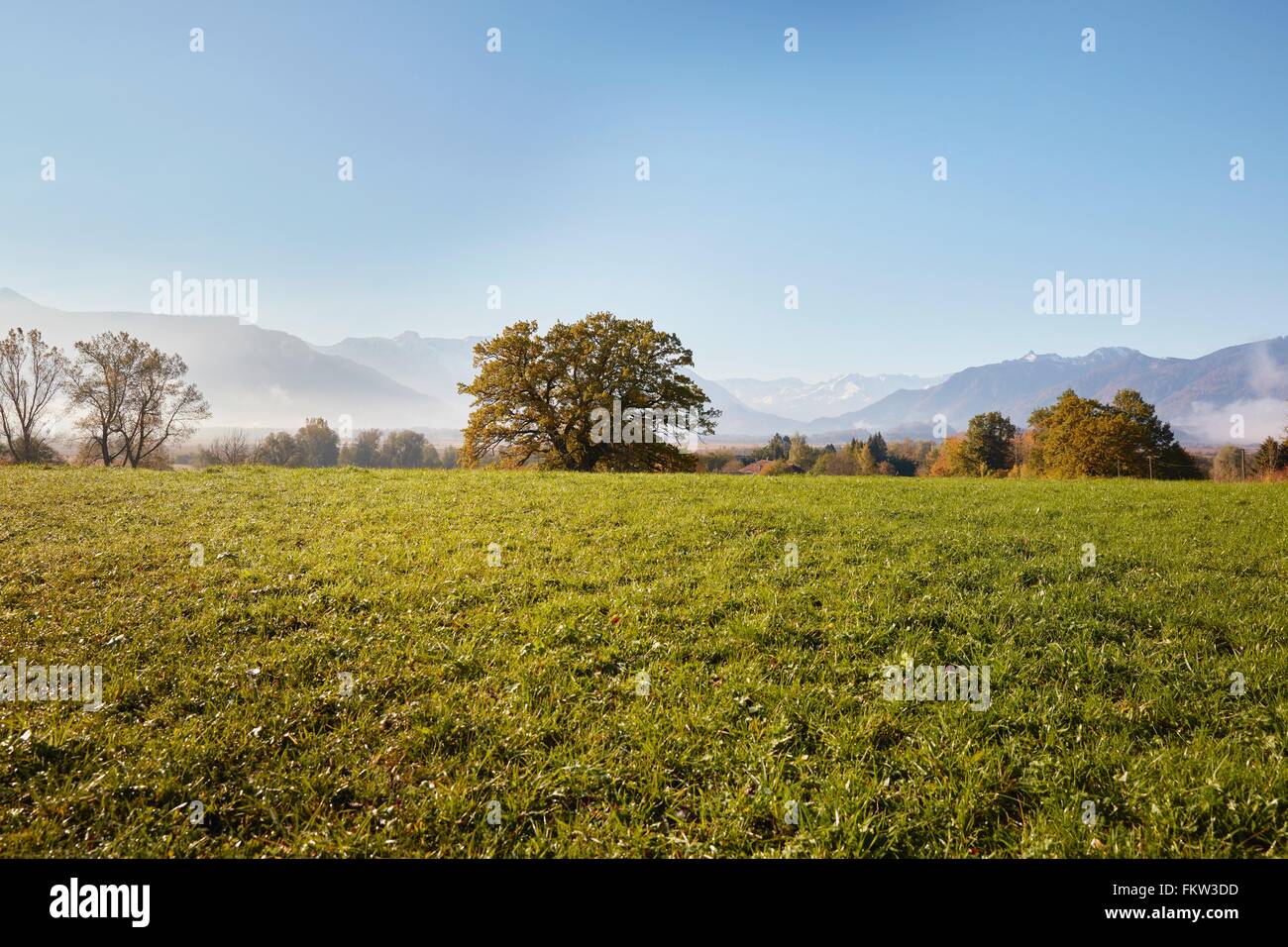 Landscape with distant view of  Murnauer Moos, Wetterstein Mountains, Murnau, Bavaria, Germany Stock Photo