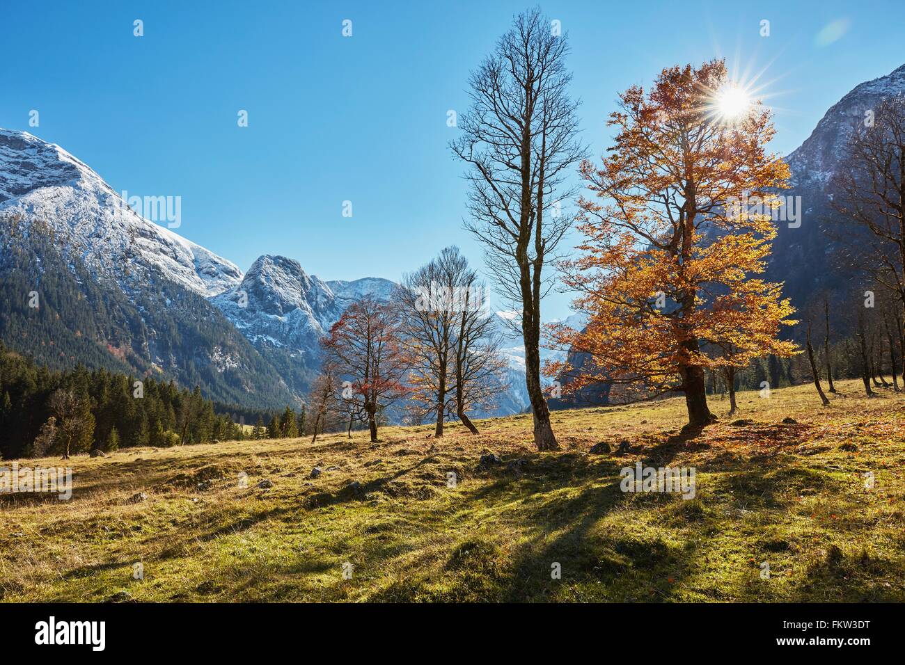 Sunlit landscape with distant snow capped mountains, Hinterriss, Tyrol, Austria Stock Photo