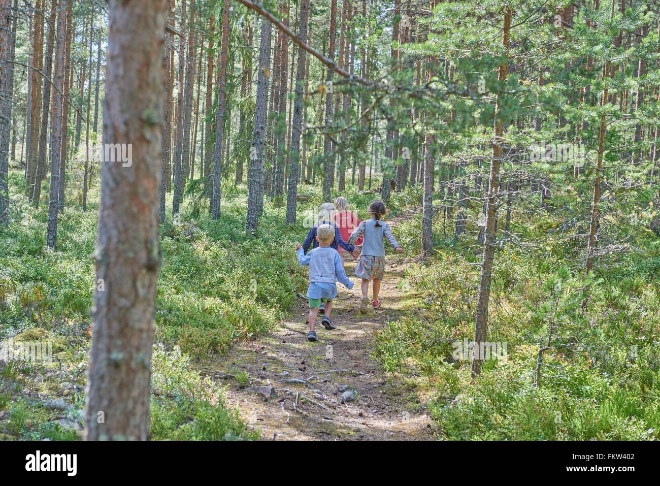 Rear view of four boys and girls wearing retro clothes walking in forest Stock Photo