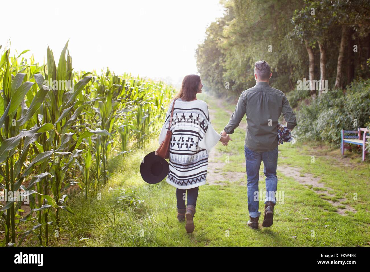 Rear view of couple strolling and holding hands in field Stock Photo ...