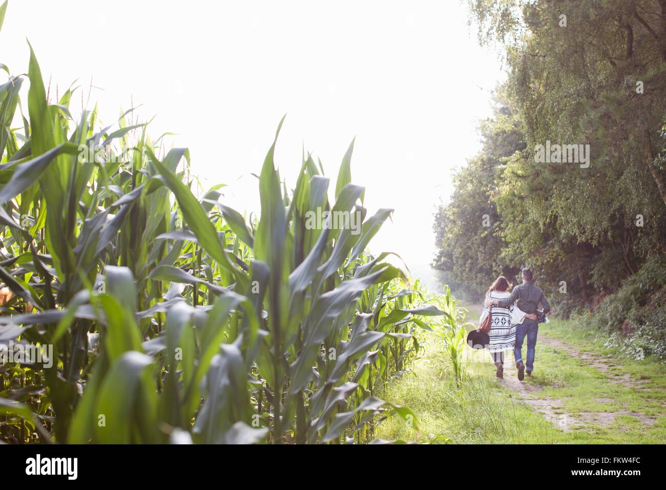 Rear view of distant couple strolling in field Stock Photo - Alamy