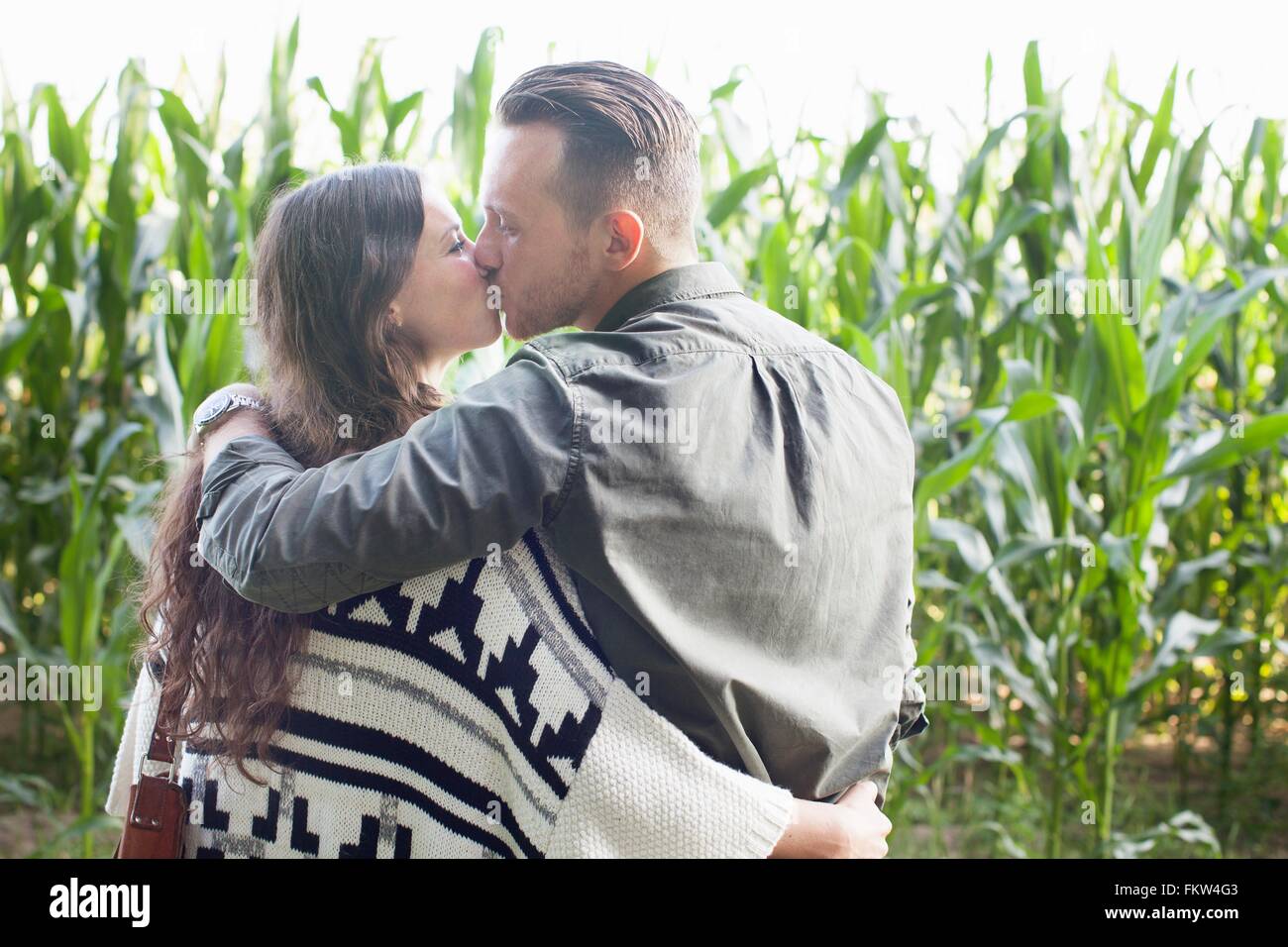 Rear view of couple kissing in corn plant field Stock Photo - Alamy