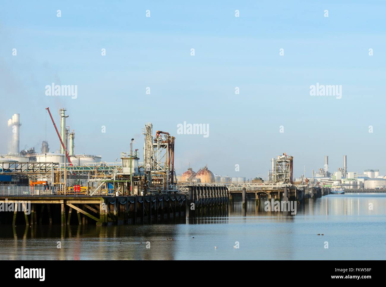 Harbour with oil terminal at refinery, Rotterdam, Zuid-Holland, The Netherlands Stock Photo