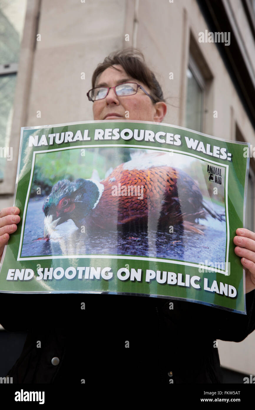 Campaigners from Animal Aid hold a protest outside the offices of Natural Resources Wales, in Cardiff, over the lease of public land for the shooting of pheasants and other birds Stock Photo