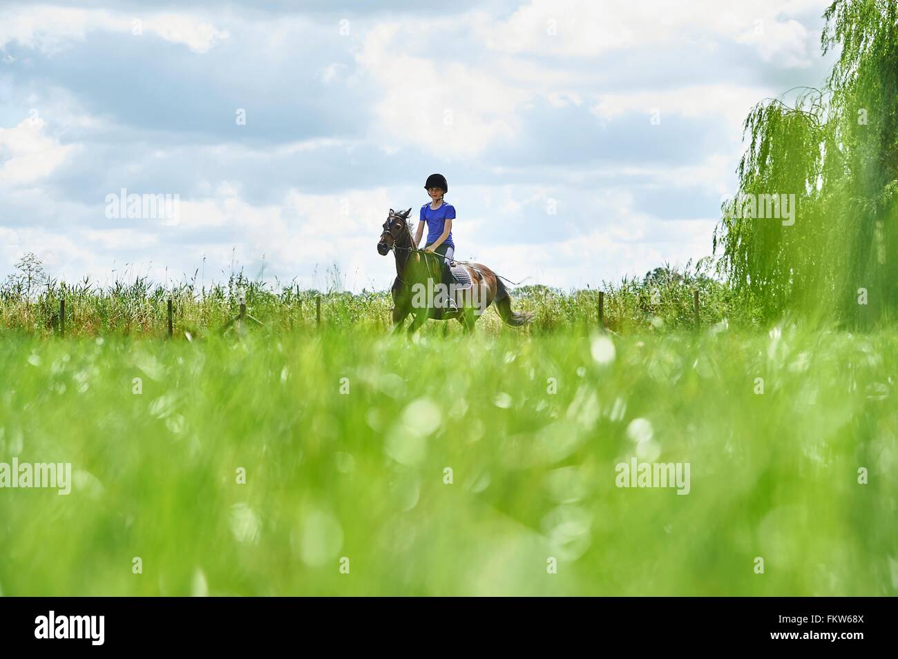 Surface level view of girl horse riding in field Stock Photo