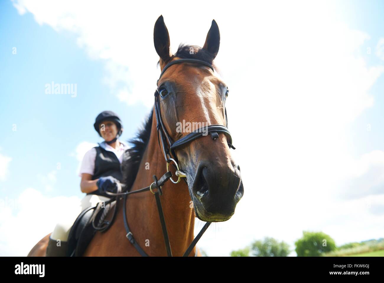 Low angle view of mature woman on horseback looking at camera Stock Photo