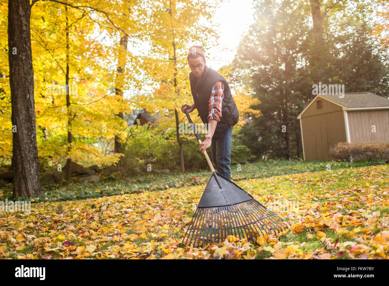 Man raking leaves hires stock photography and images Alamy