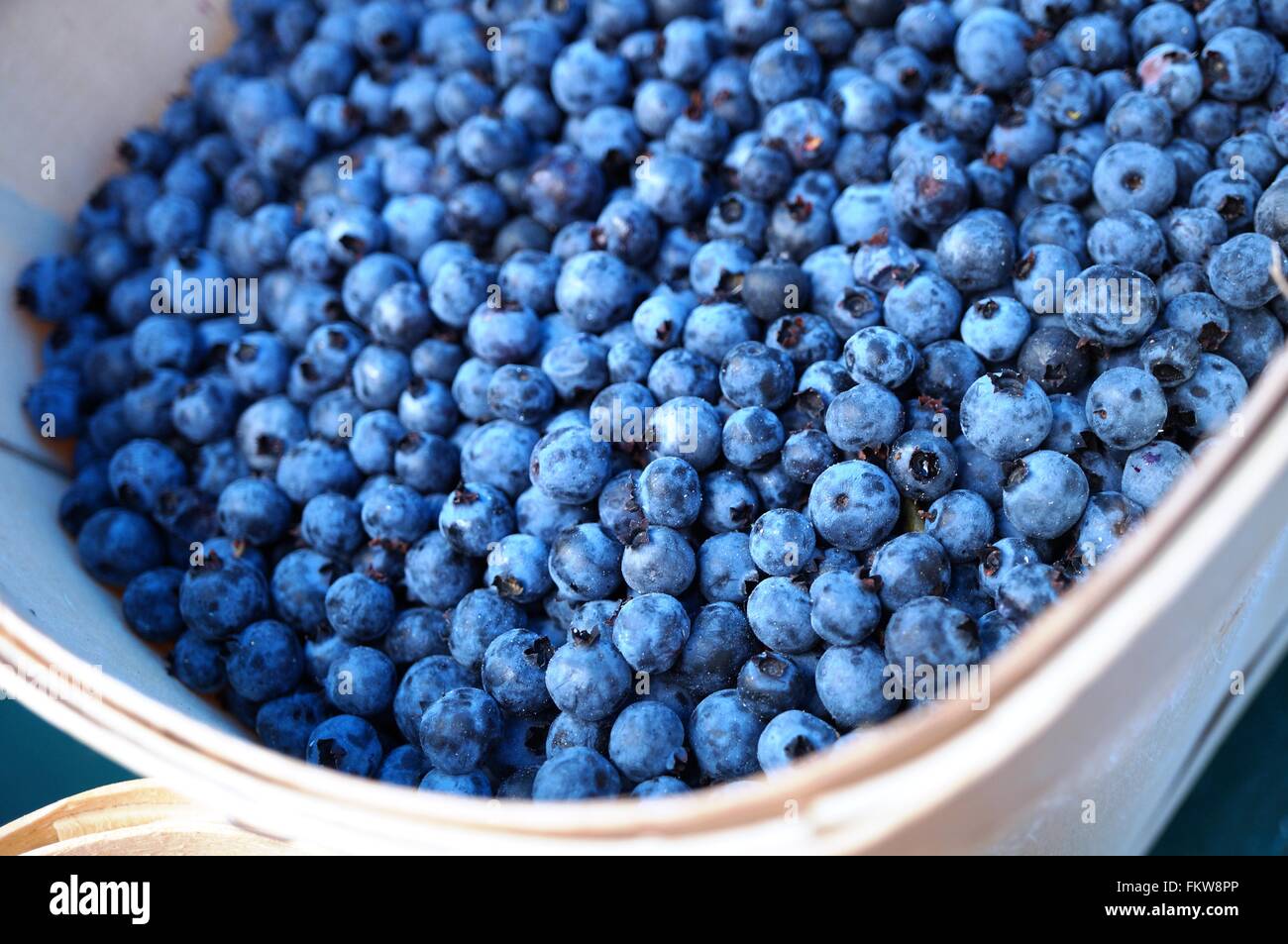 Wild blueberries (bleuets) at a Canadian farmers market Stock Photo Alamy