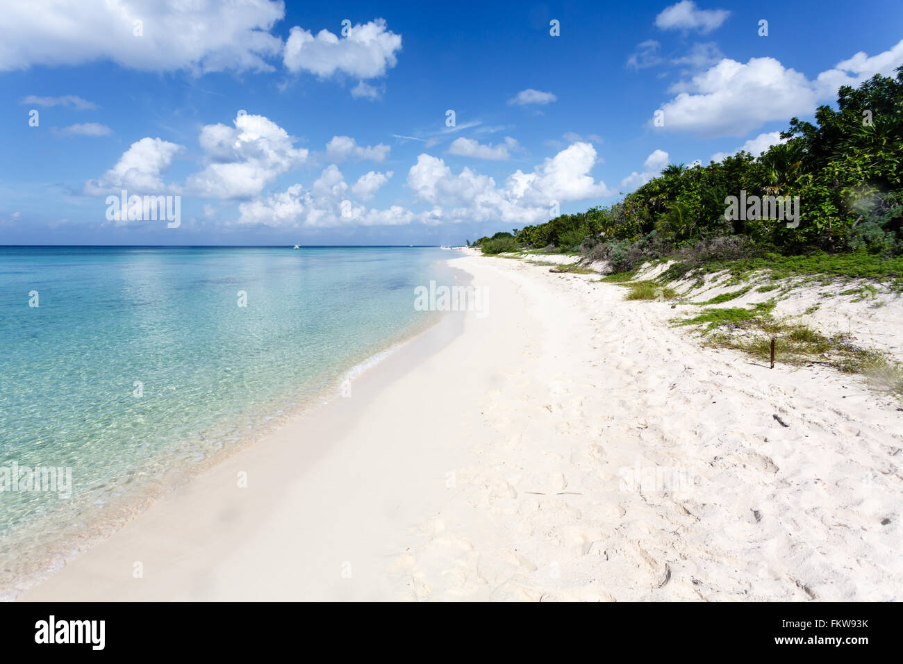 A serene beach scene unfolds under a bright blue sky dotted with fluffy white clouds. The turquoise water gently laps against the pristine white sand, creating a tranquil shoreline. Lush green vegetation lines the edge of the beach, adding a touch of natural beauty to the scene. Stock Photo