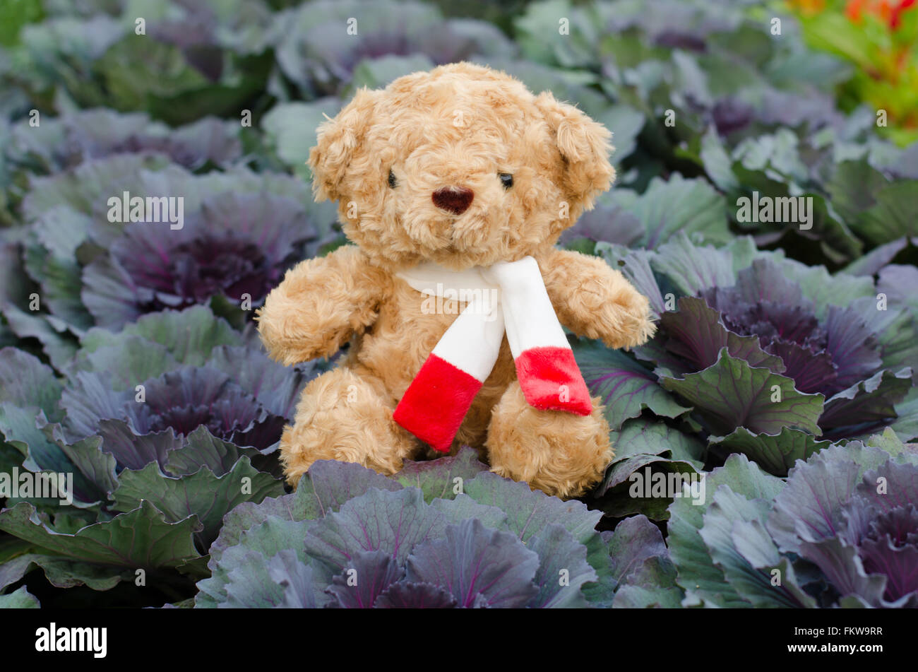 teddy bear in flower garden Stock Photo