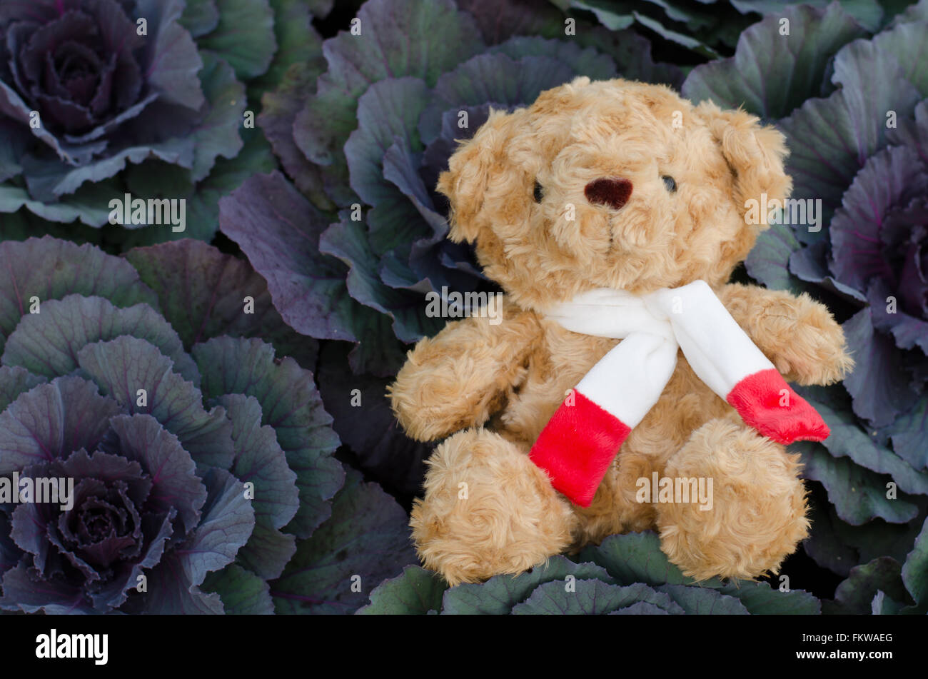 teddy bear in flower garden Stock Photo Alamy
