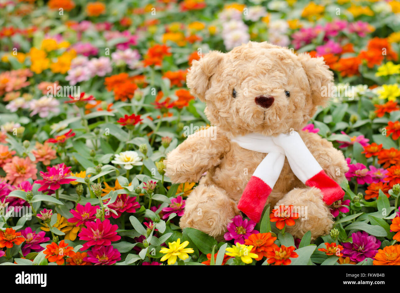 teddy-bear-in-flower-garden-stock-photo-alamy