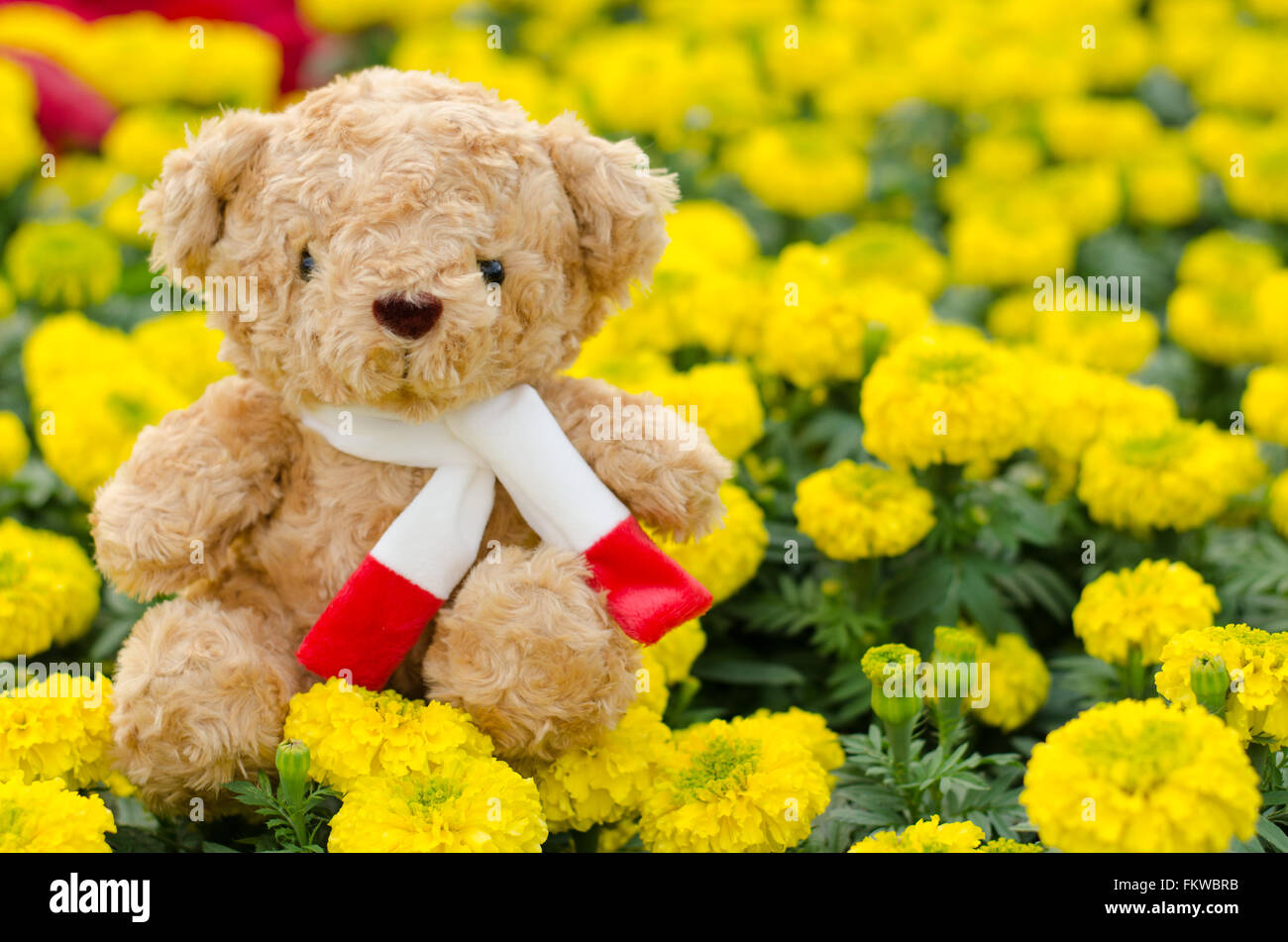 Teddy bear in flower garden Stock Photo