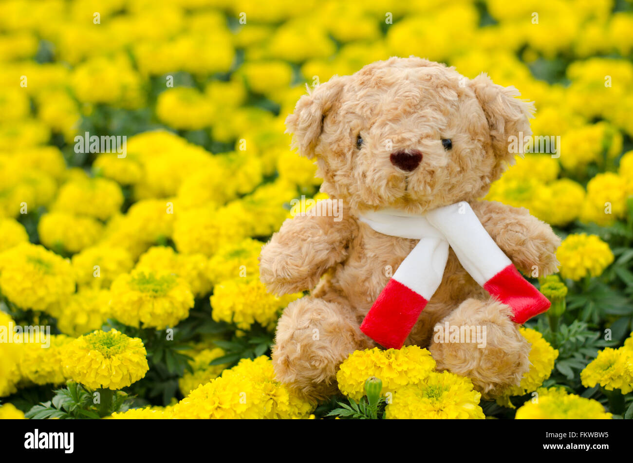 Teddy bear in flower garden Stock Photo