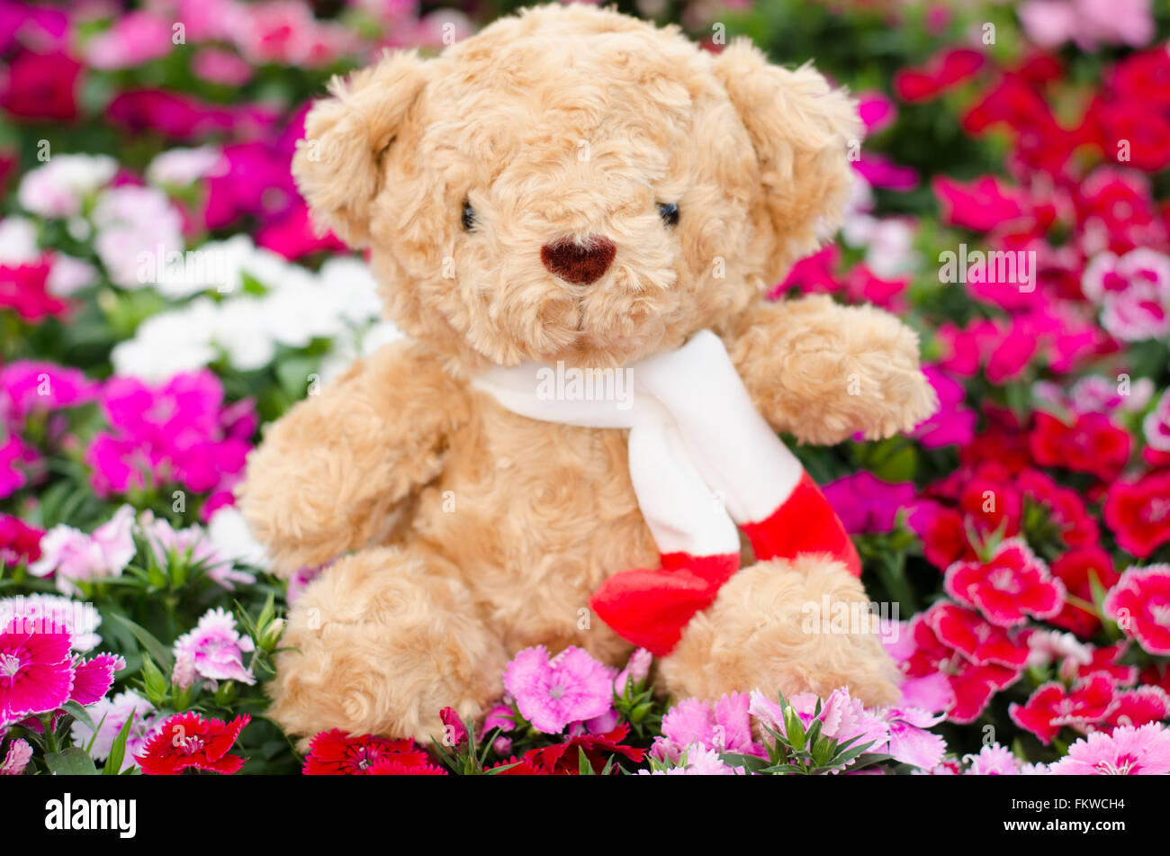 Teddy bear in flower garden Stock Photo Alamy