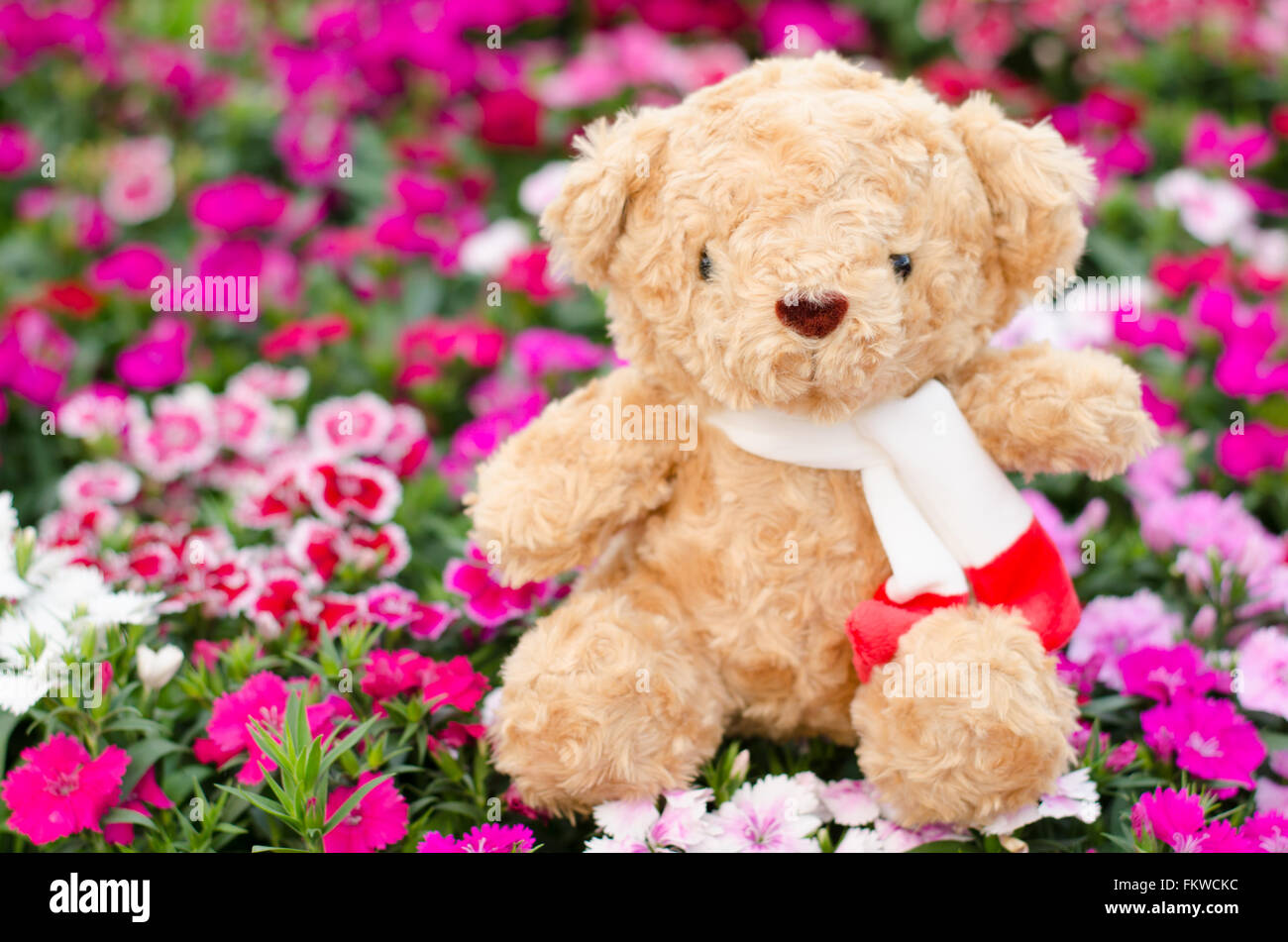 Teddy bear in flower garden Stock Photo Alamy