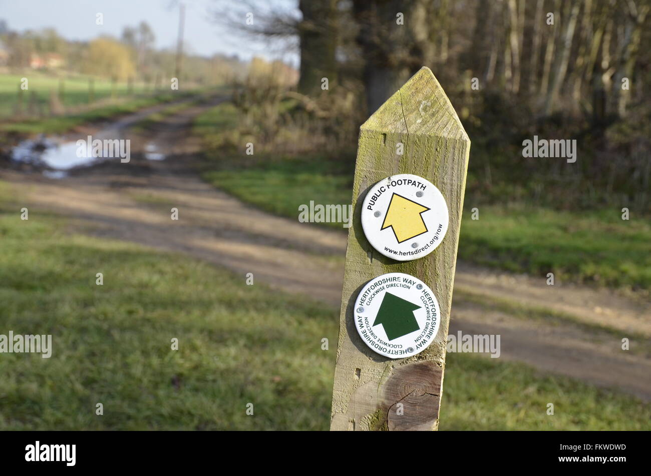 A country signpost near Ware, Hertfordshire Stock Photo Alamy