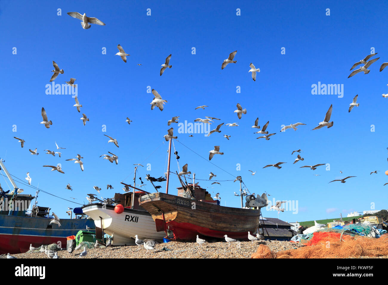 Flock of seagulls hover over fishing boats on the Hastings Stade fishermen's beach, East Sussex, England, UK Stock Photo