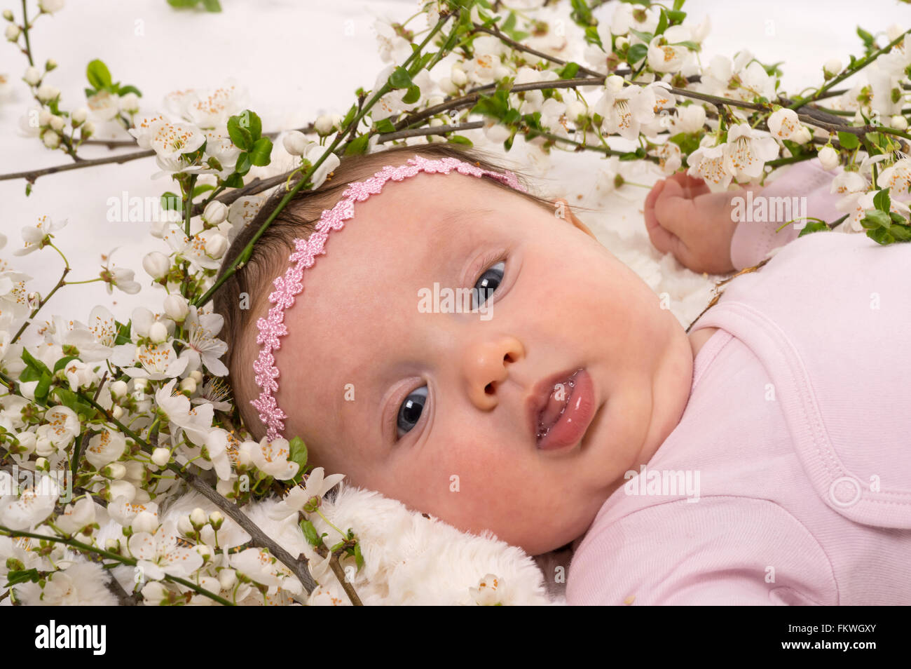 Beautiful baby girl lying at blossom plum branches. Studio shot on white Stock Photo