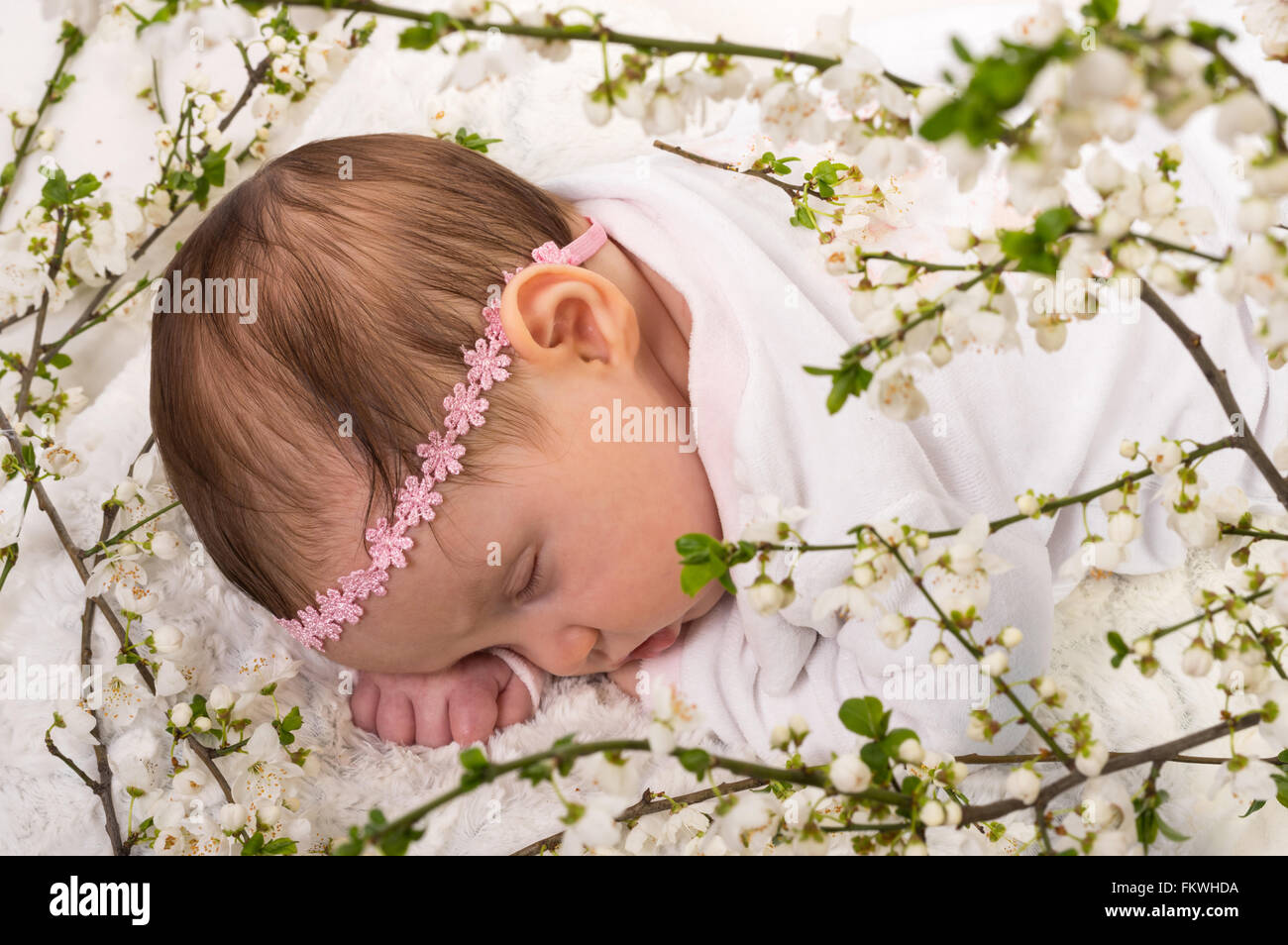 Beautiful baby girl sleeping at blossom plum branches. Studio shot on white. Stock Photo