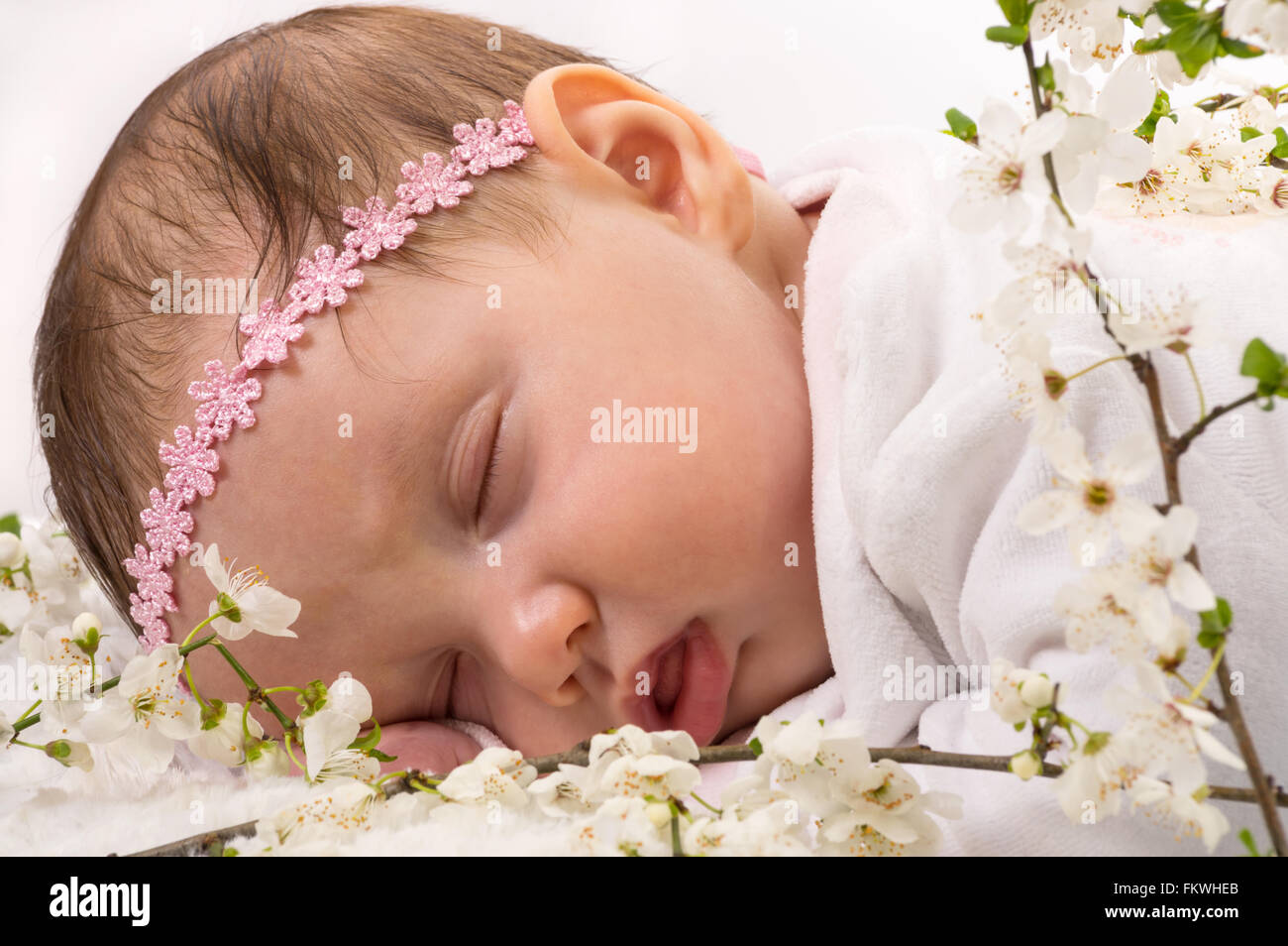 Beautiful baby girl sleeping at blossom plum branches. Studio shot on white. Stock Photo