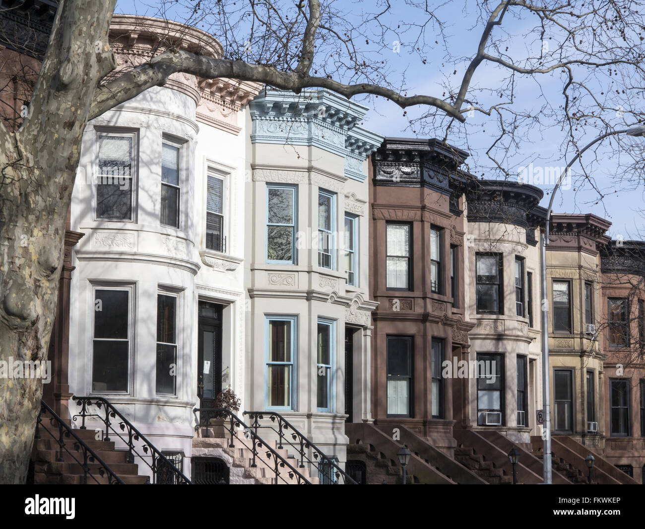 High stoop Brownstones in Park Slope Brooklyn Stock Photo Alamy