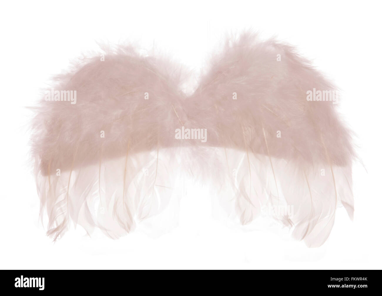angel wings studio cut out Stock Photo