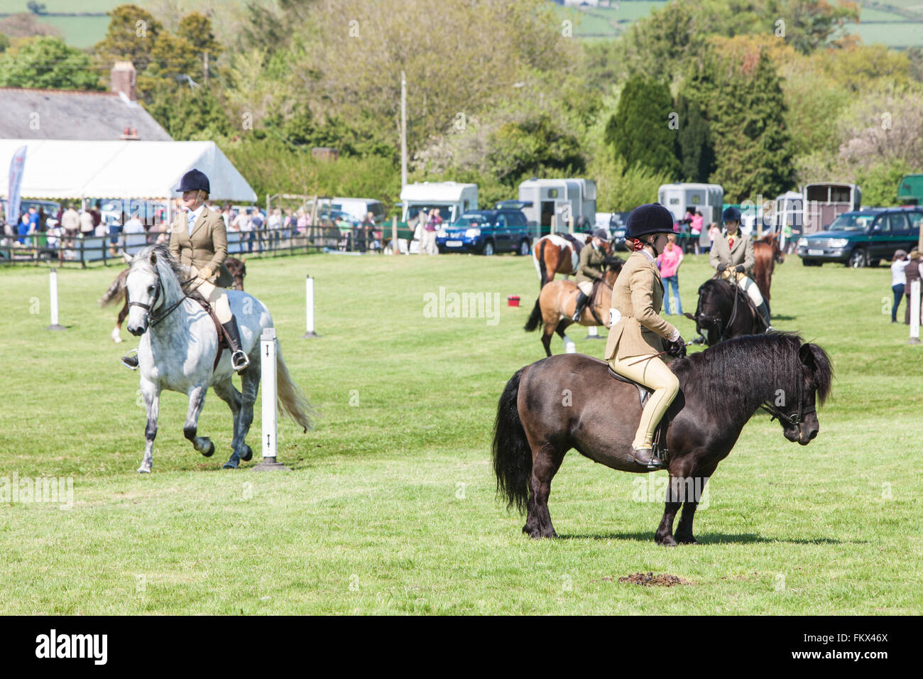 At Cothi Bridge Agricultural,horse and pony show,near Llandeilo,Carmarthenshire,Wales,U.K. Stock Photo