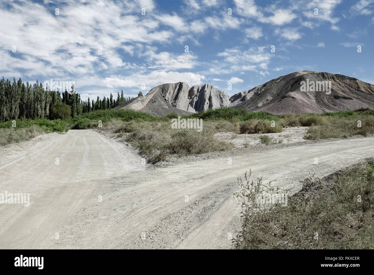 Landscape countryside shrubland scenery  with track junction rodeo argentina south america Stock Photo