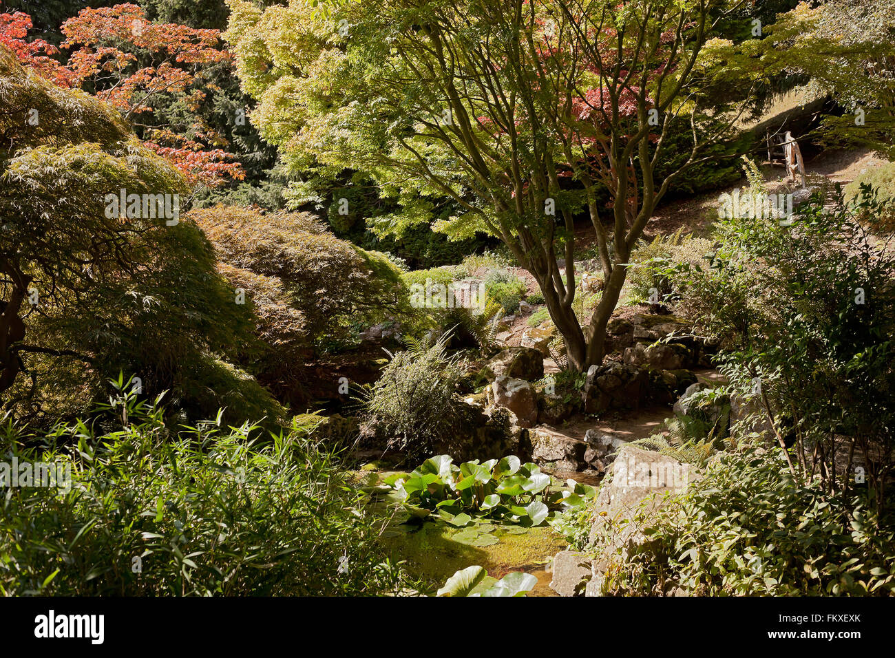 Weir Garden rockery view Stock Photo - Alamy