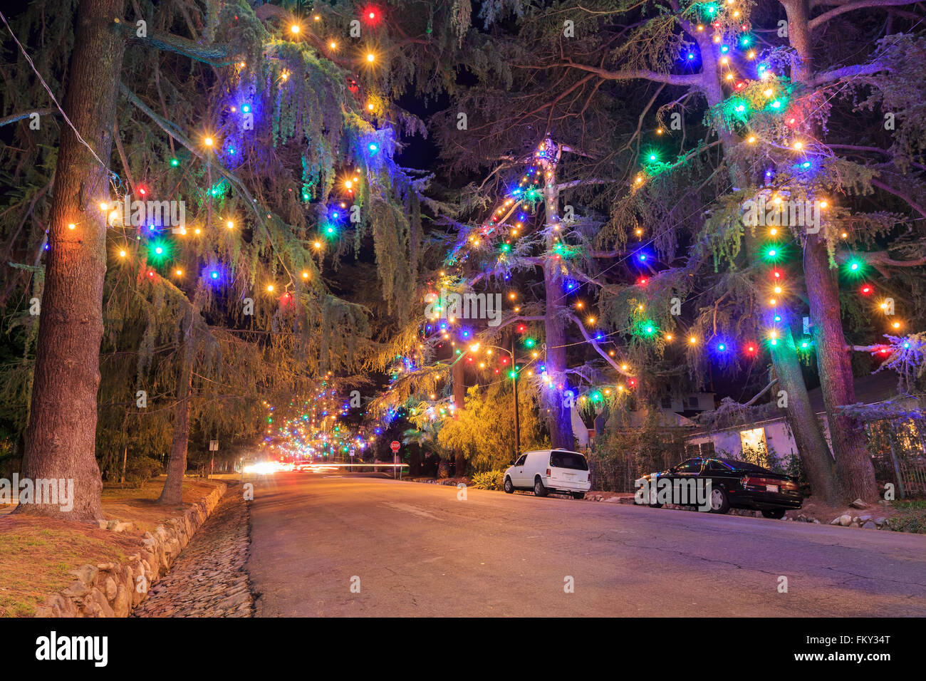 Christmas tree lane hi-res stock photography and images - Alamy