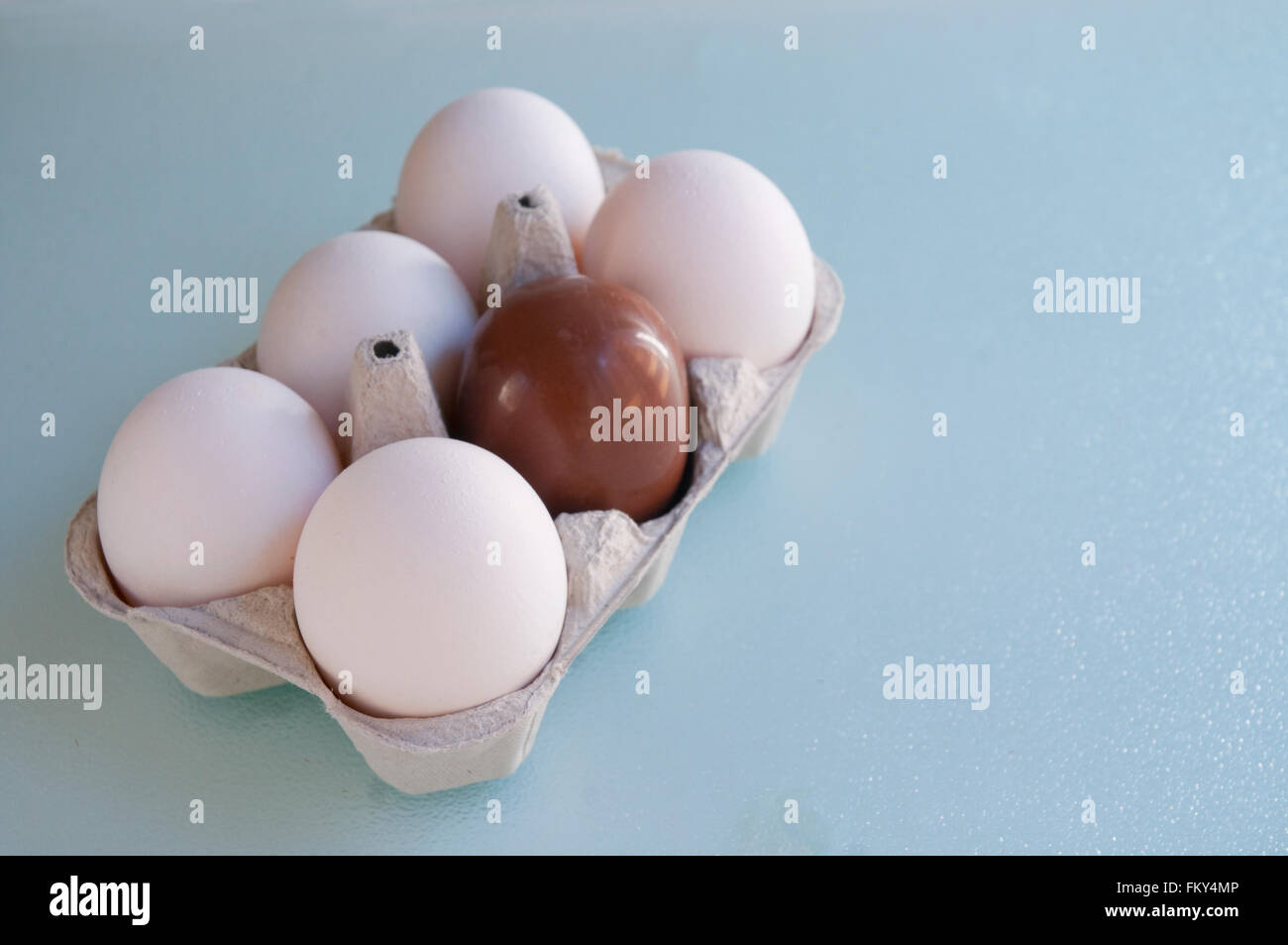 Half a dozen eggs five white eggs and a chocolate one stock photo alamy