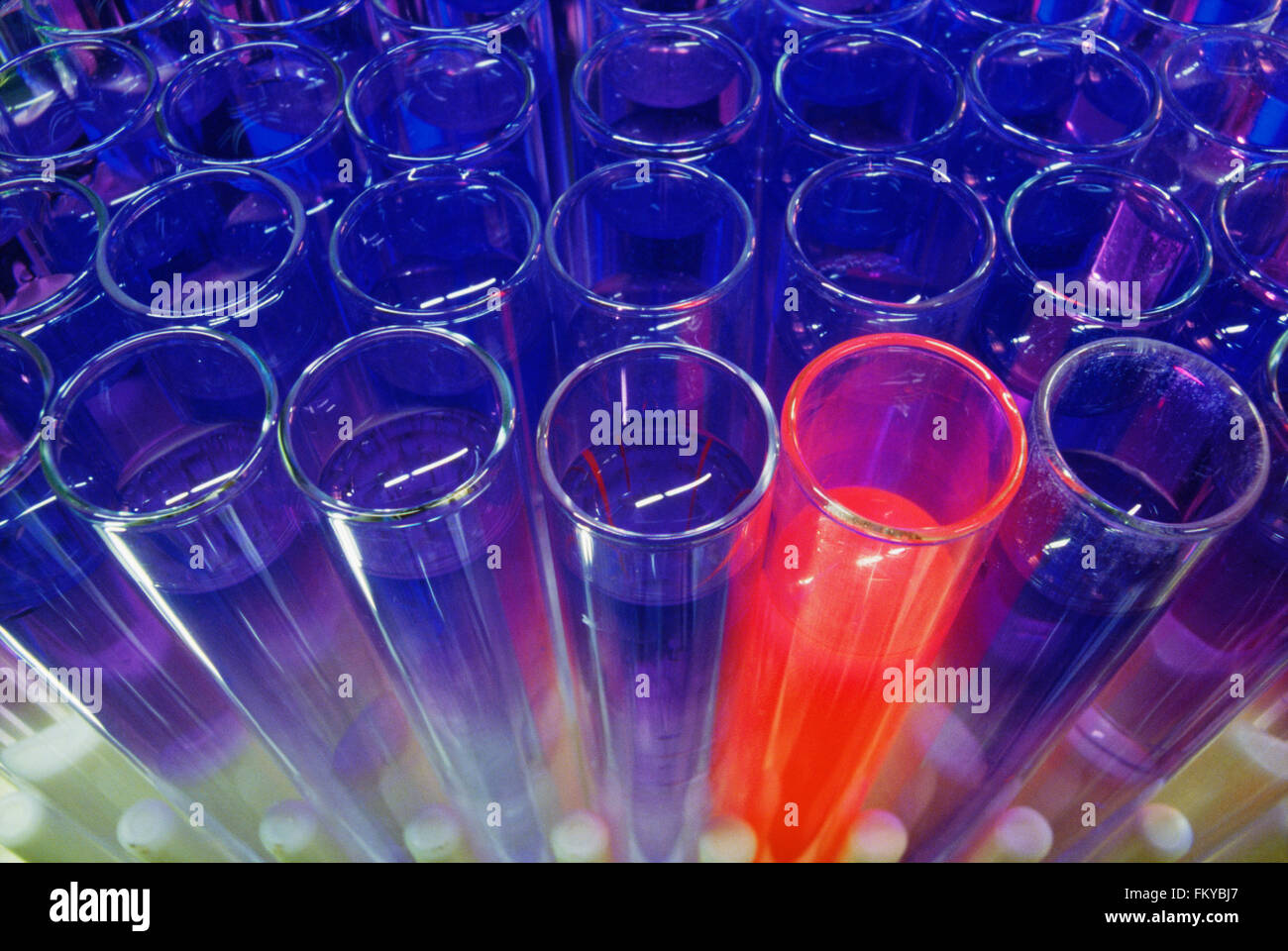 Test Tubes in a Test Tube Rack Stock Photo