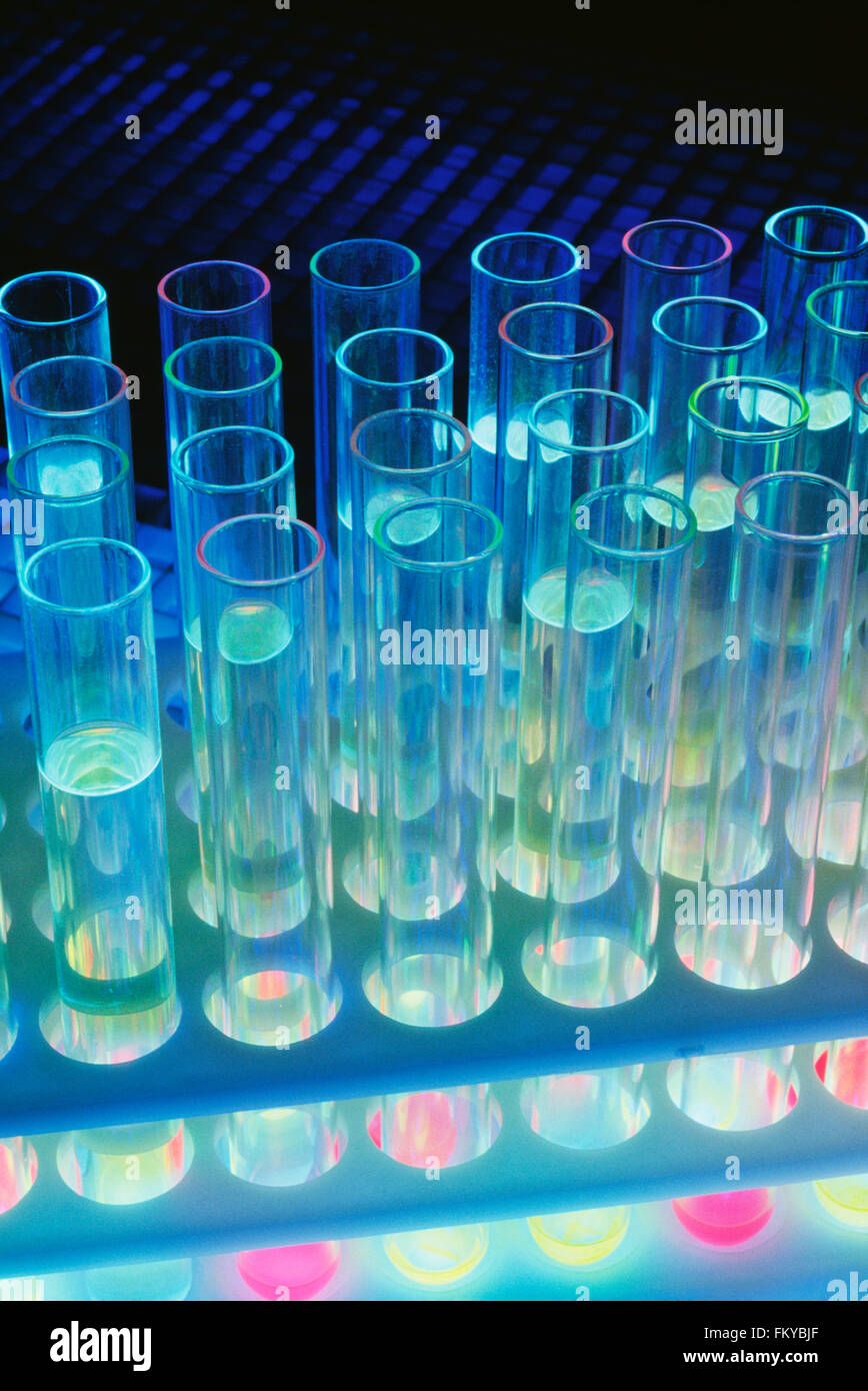 Test Tubes in a Test Tube Rack Stock Photo
