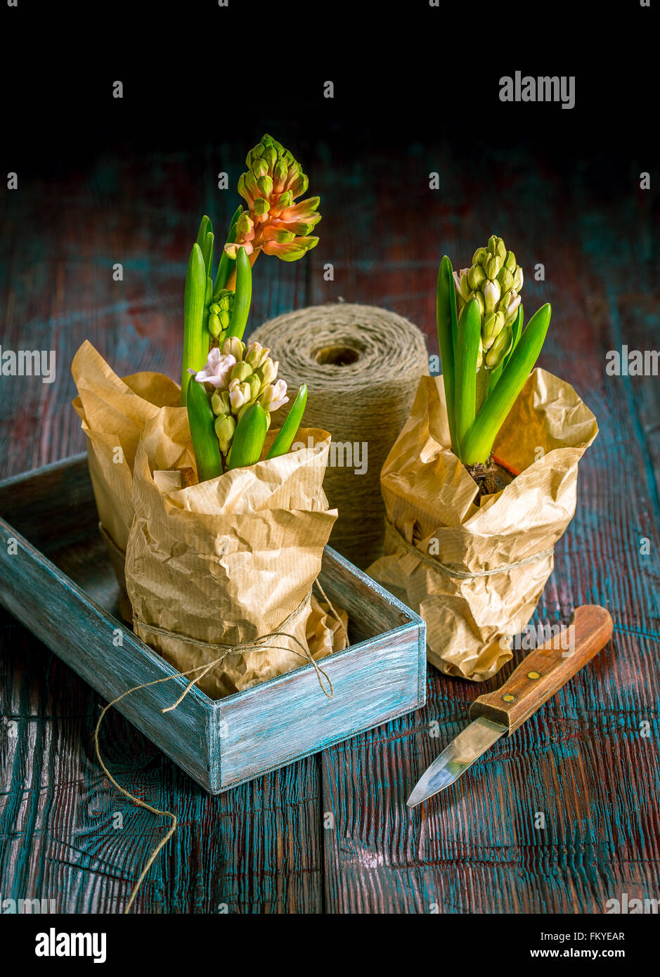 three pots of flowers hyacinth in wrapping paper wooden box and old how to wrap flower pots with paper