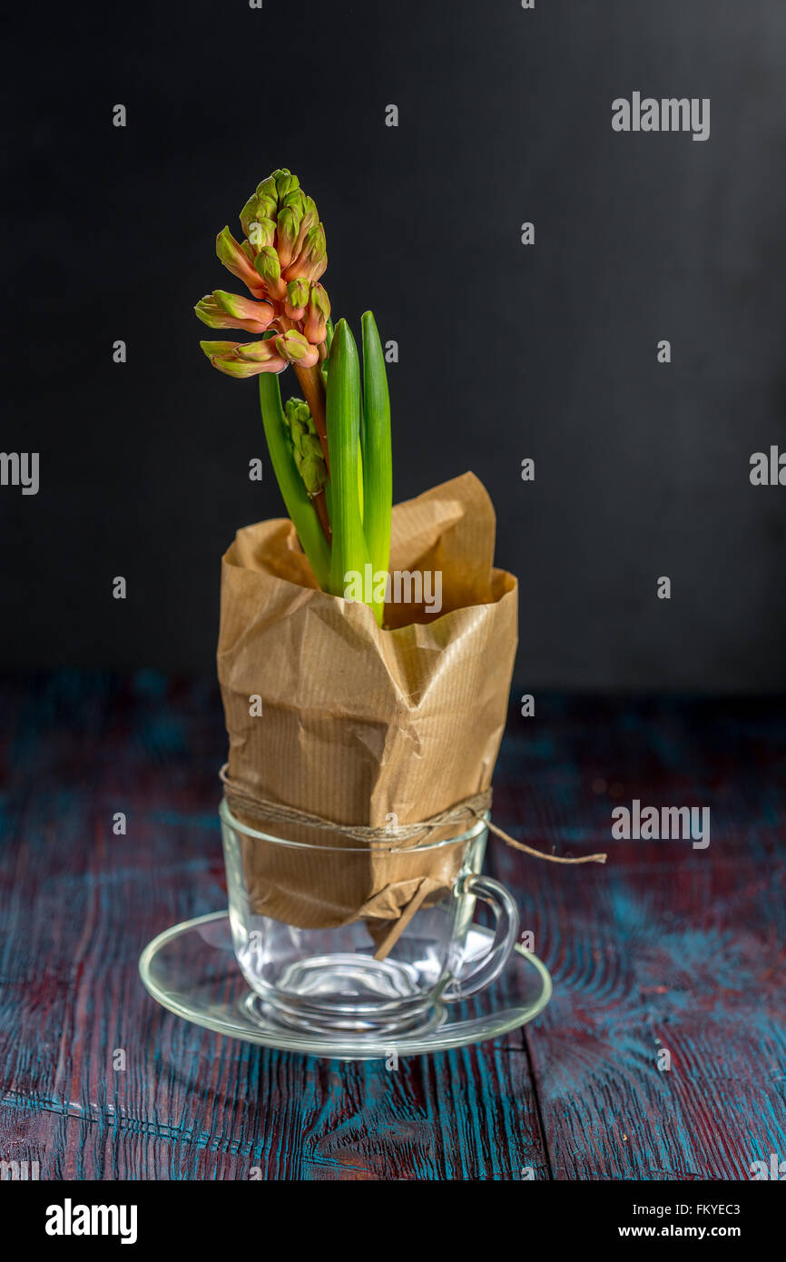 a pot of flowers hyacinth in wrapping paper in a transparent glass how to wrap flower pots with paper